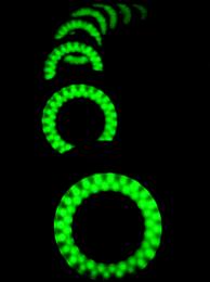 greenrings